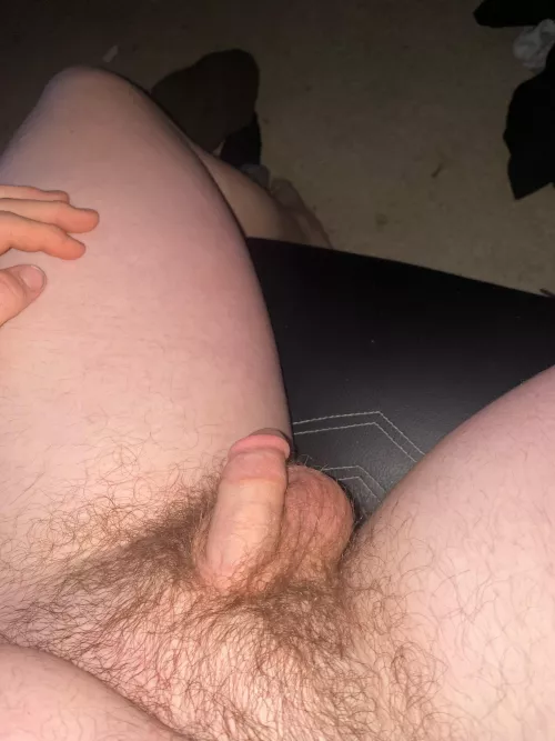 My tiny little softie