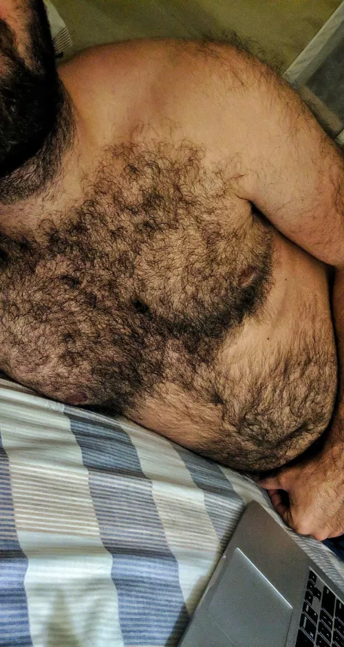 Need someone to come over and rub my furry chest