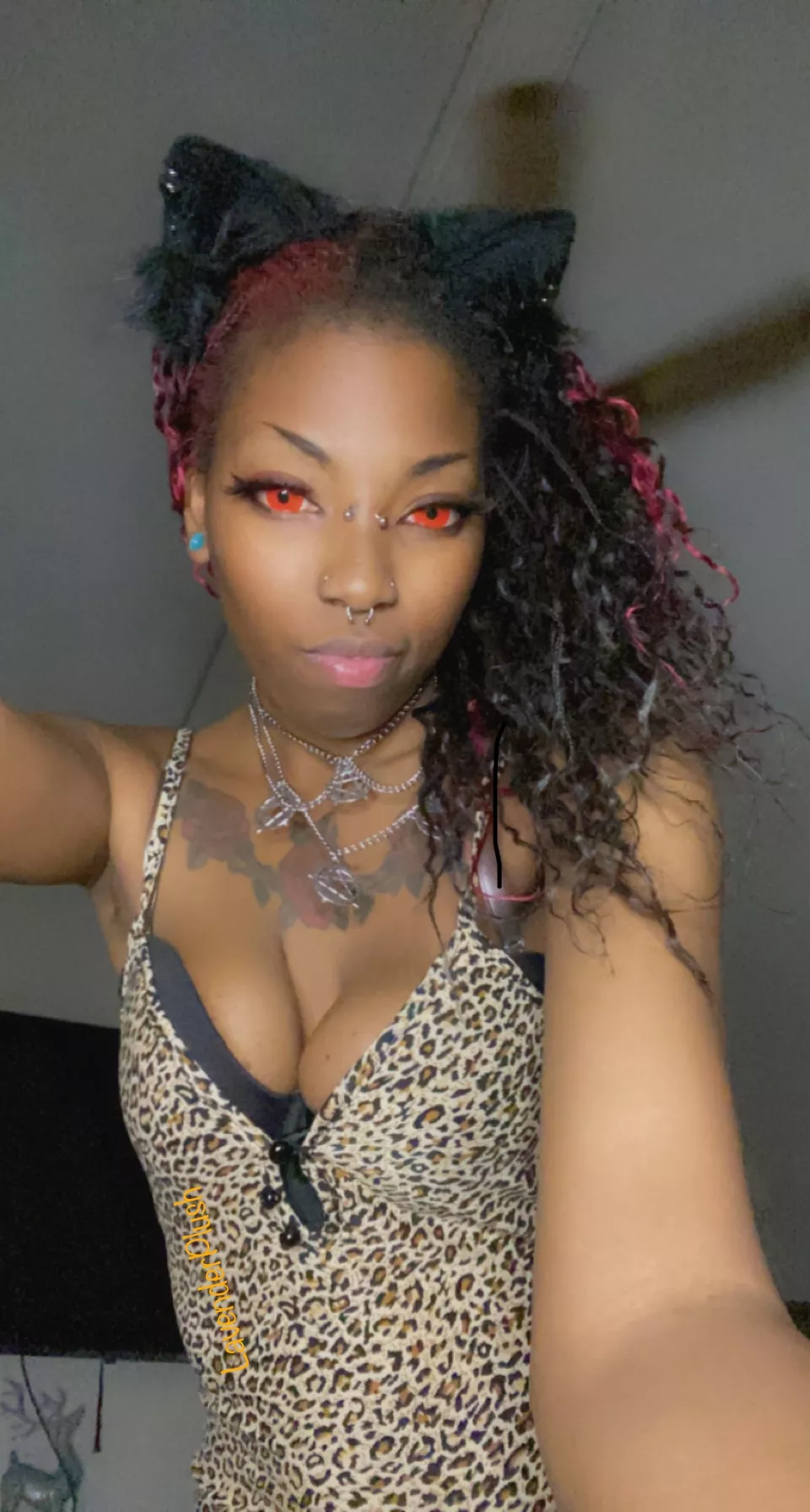 Nice down here isn’t it meow