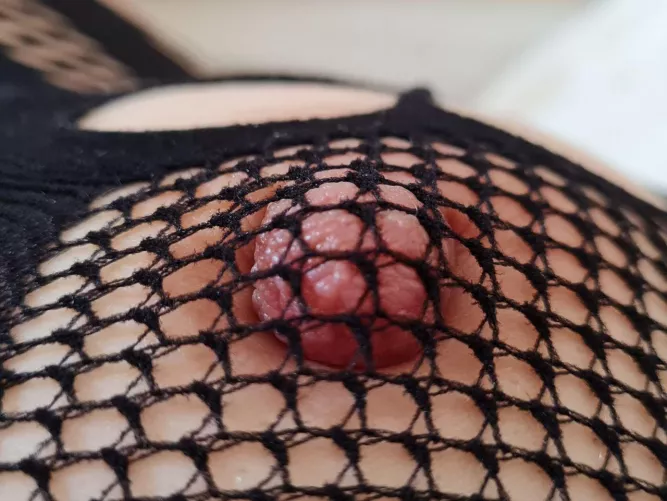 Nips on fishnets are so sexy, don’t you agree?