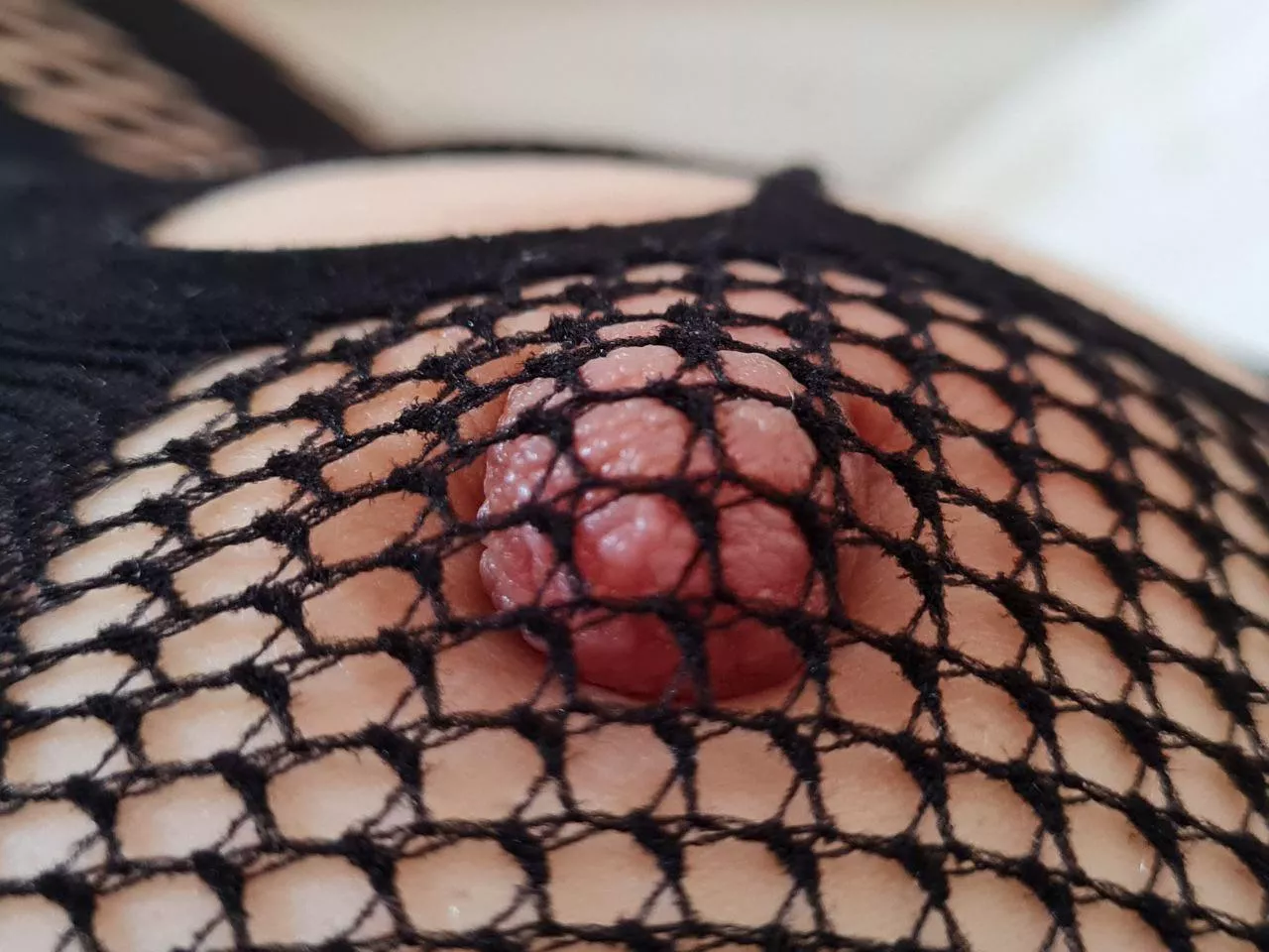 Nips on fishnets are so sexy, don’t you agree?