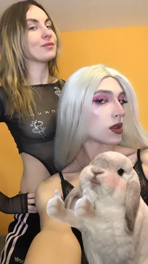 Online right now with my transgender friend 🐰💖