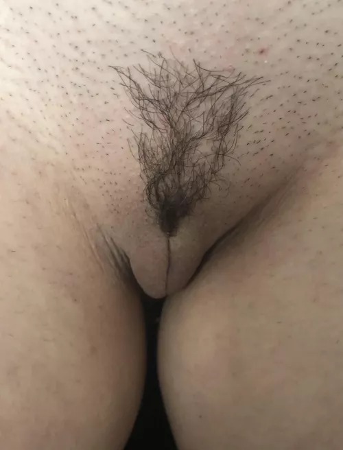 Please rate my pussy