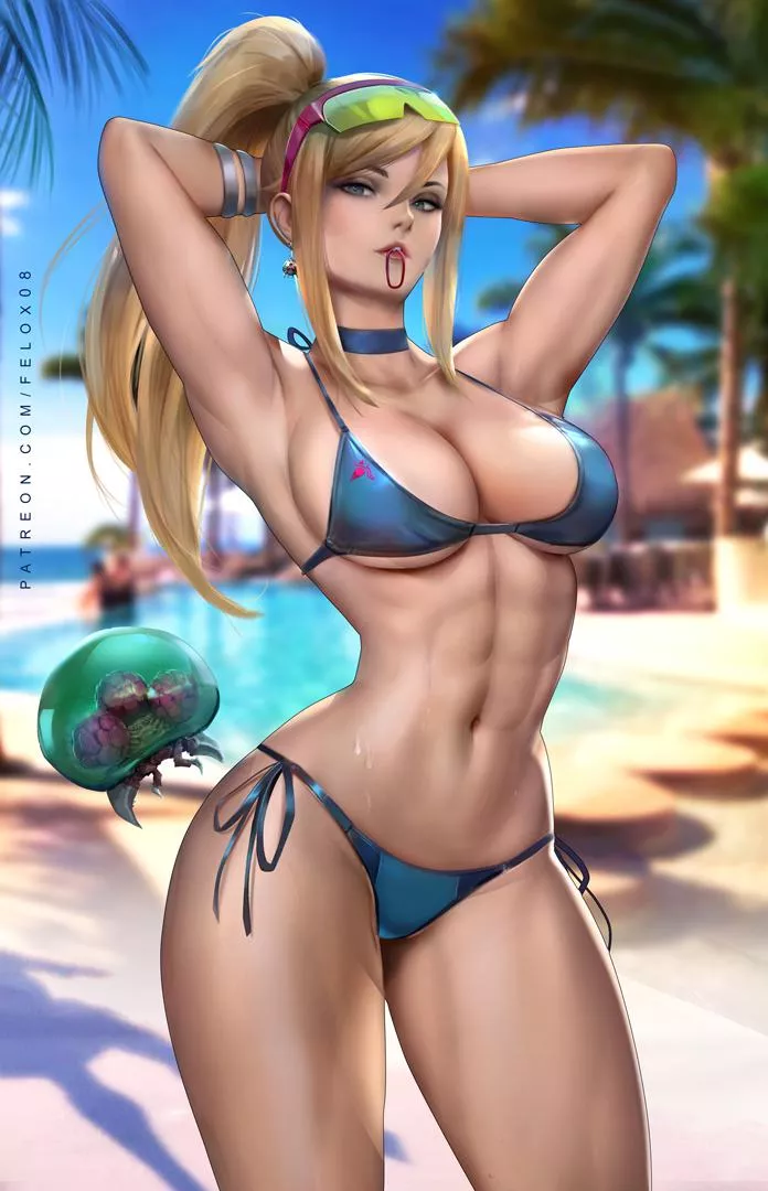 Samus at the beach (felox08)