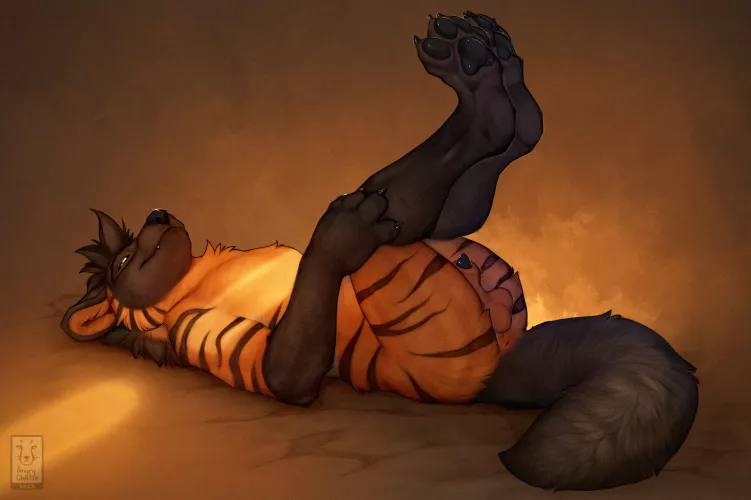 Sexy Fluffy (AnChee)