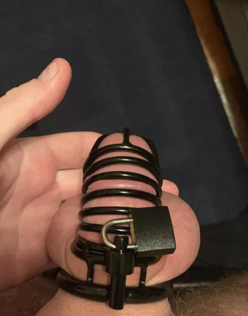 Should I let him out? 🥺