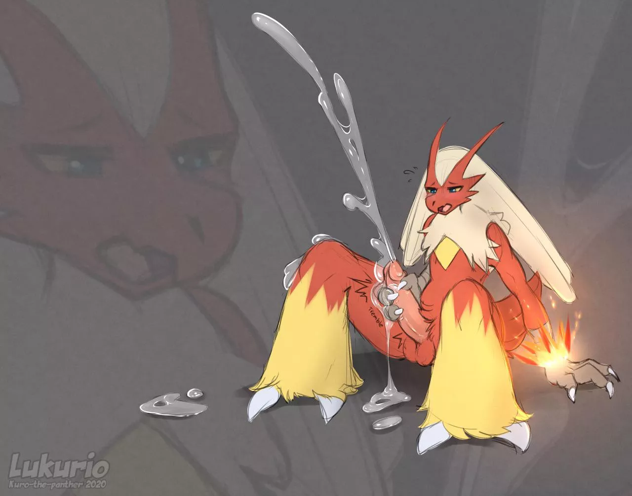 Starter final evo part 7: blaziken [M] (lukurio)