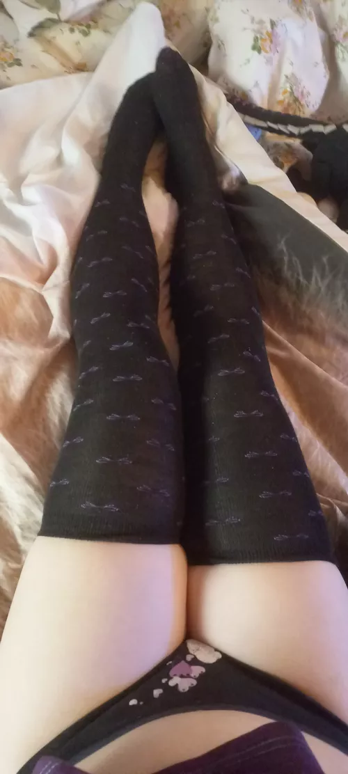 the thighs! ( ˙▿˙ )