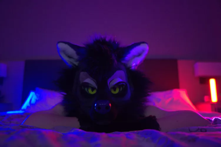 Well? I'm waiting... [F]