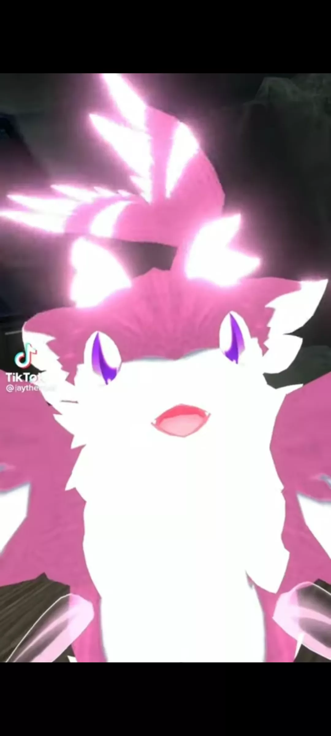 What is this species called? (credit: @jaythefloof on tick tock)