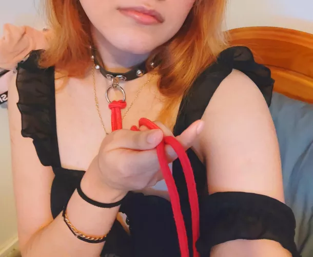 Would you adopt this cute kitten?