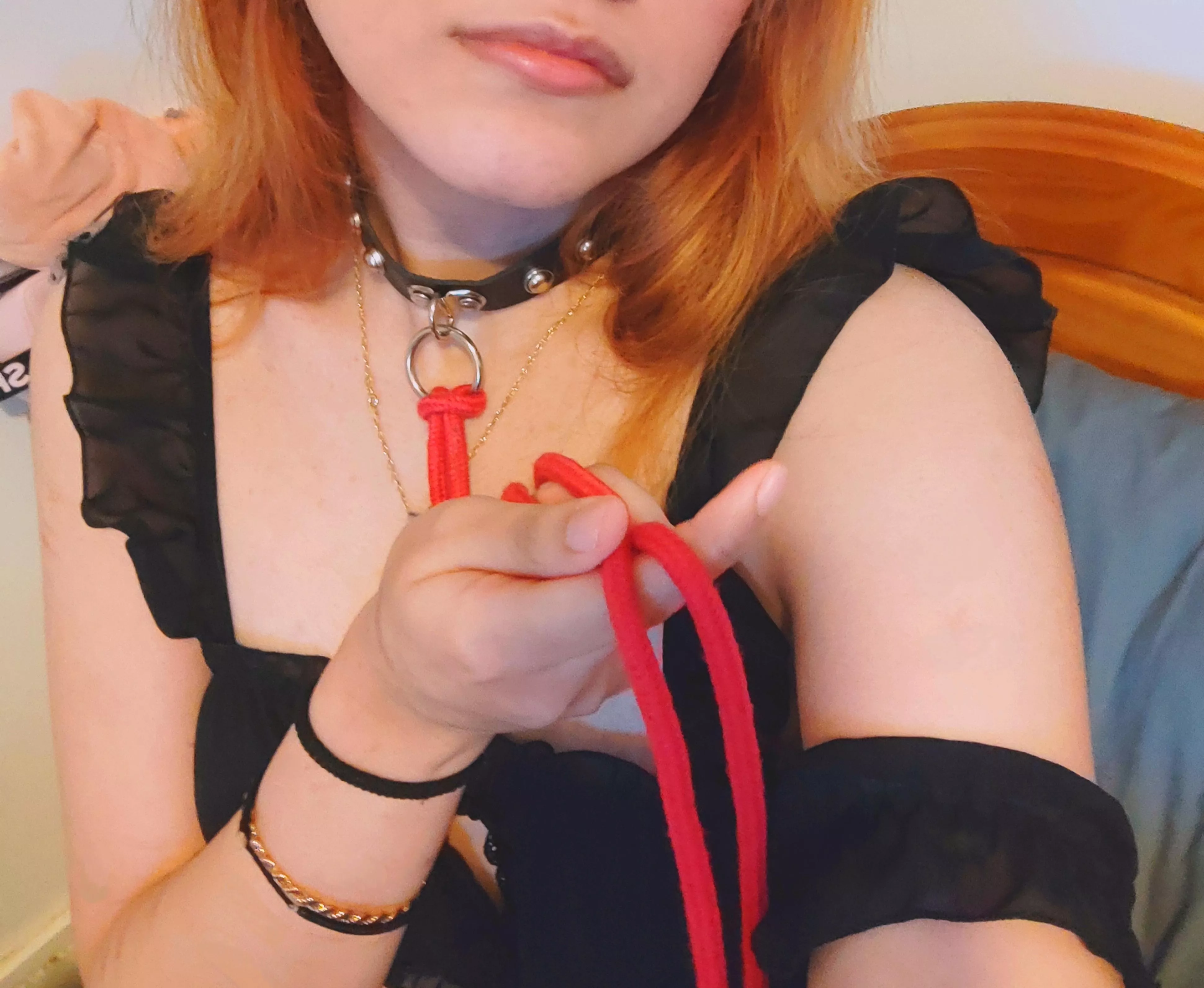 Would you adopt this cute kitten?