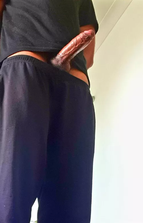 would you suck it or take it in all the holes? DMs welcome