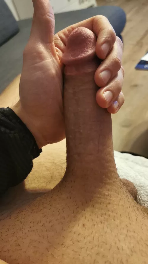 24 Germany. Onl. Germans! SC is a_kschh