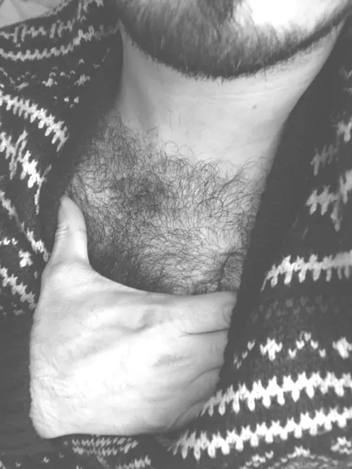 27 Arab sc: gayhairyvers