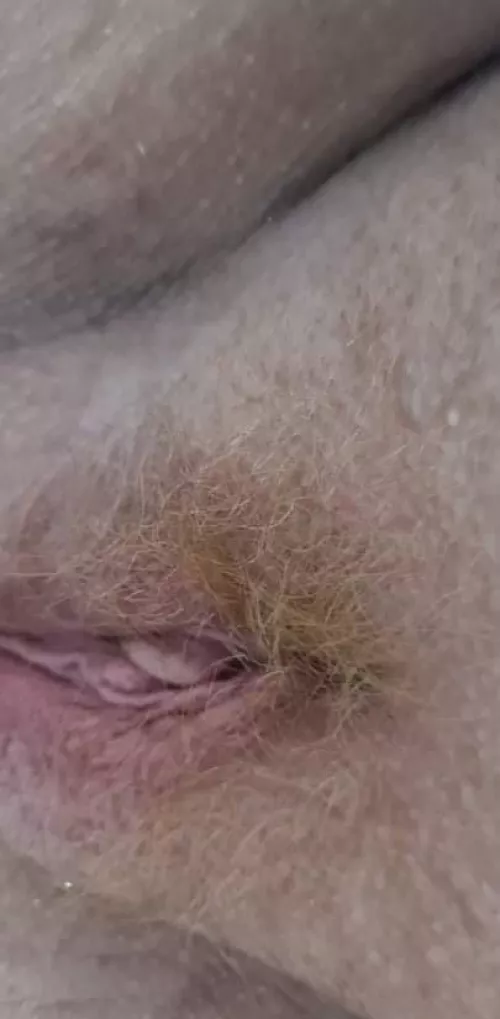 A sweet ginger pussy waiting for someone