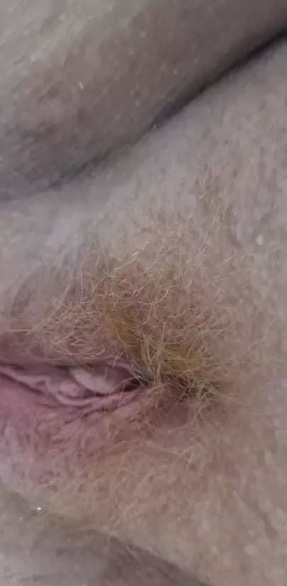 A sweet ginger pussy waiting for someone