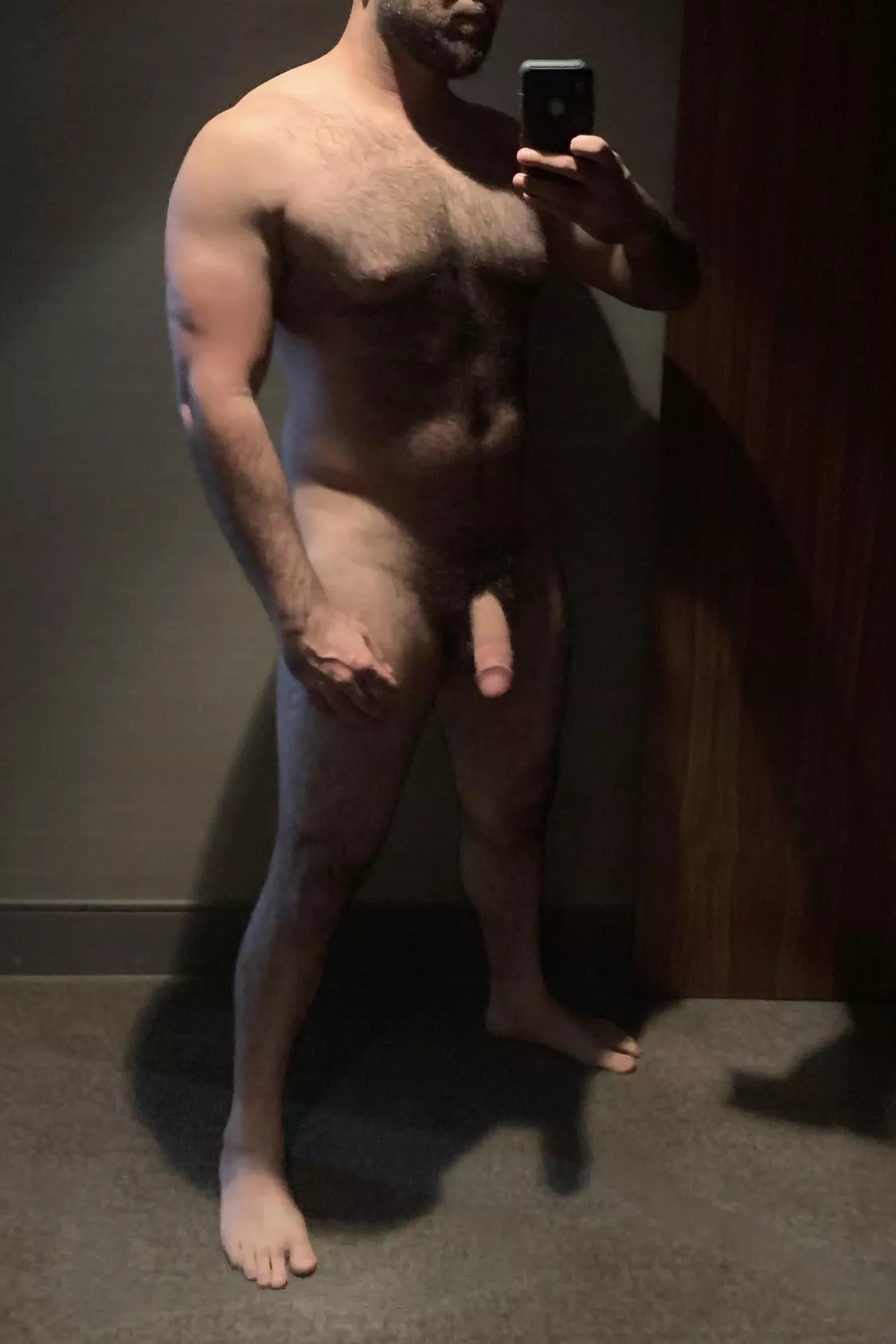 ALPHA BULL- LOS ANGELES