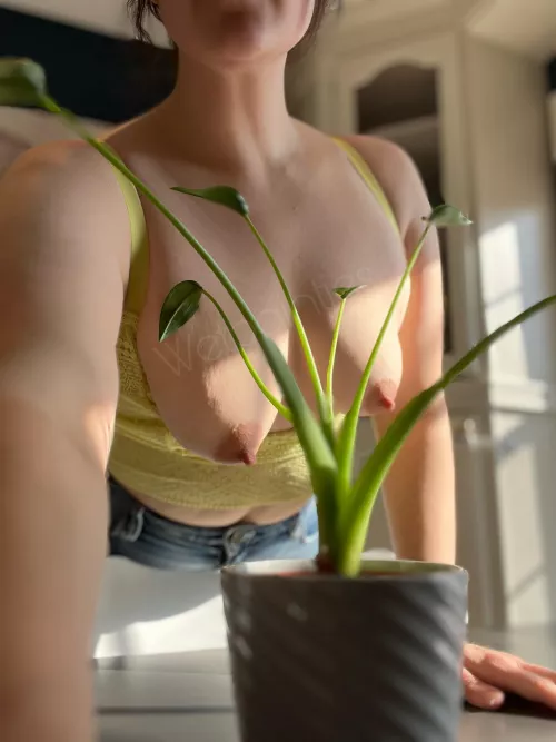 Are y’all fans of torpedo tits here?