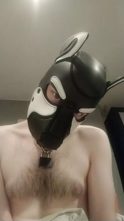 Bored pup, need friends to play with! 🐶 🥰