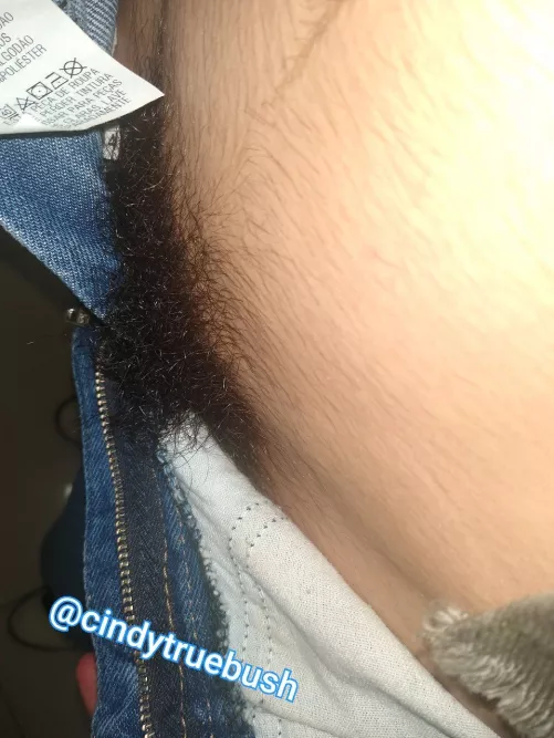 Checking my bush....