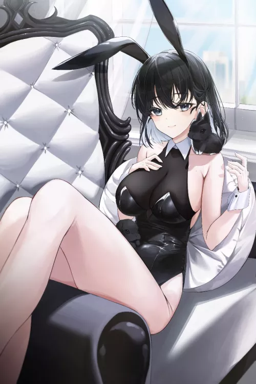 Couch Bunny & Small Friends