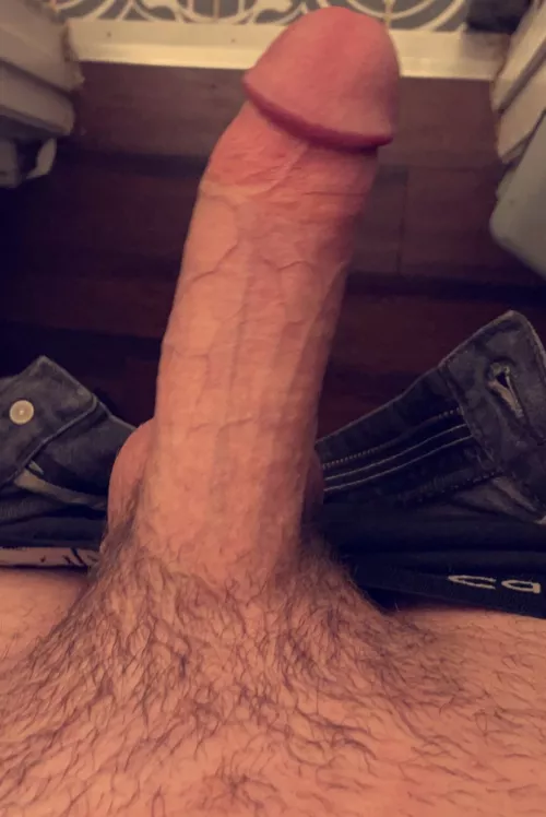 did you stop scrolling to stare at my cock? 21m hmu