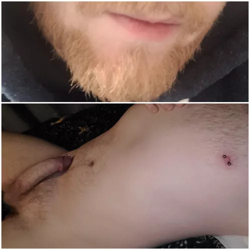 Ginger top to bottom