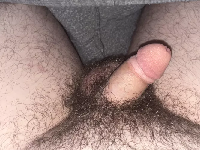 Haven' t posted in 3 days enjoy my flaccid penis!