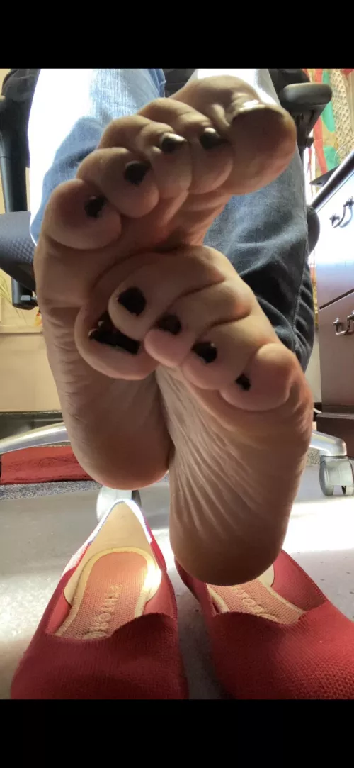 I owe, I owe.. it’s off to work I go! Want to sit under my desk and keep my feet company?