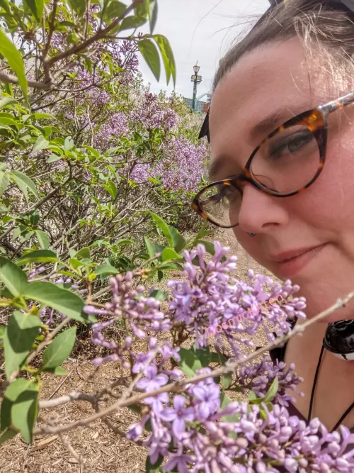 Kitten loves to play in the flowers!