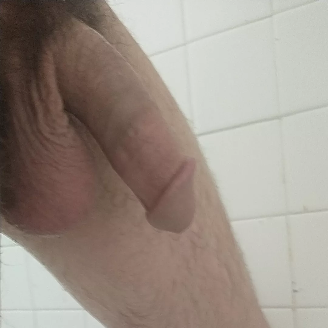 shower softy (not for long)