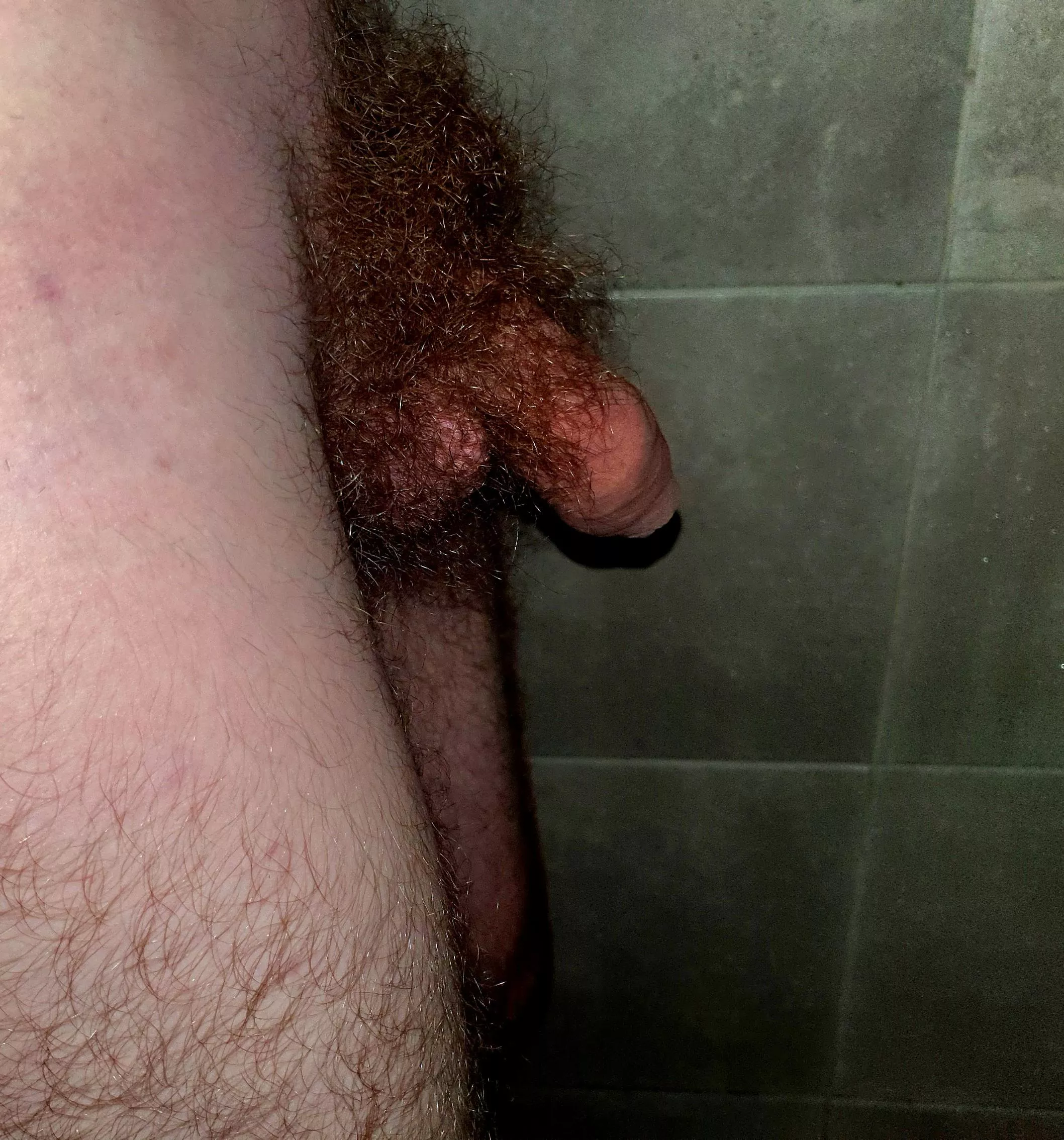 Sniff my huge bush (20)