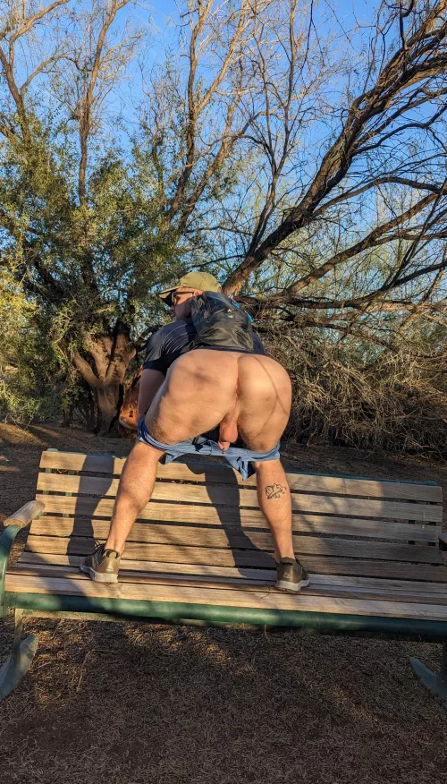 Sunset dinner in the park?