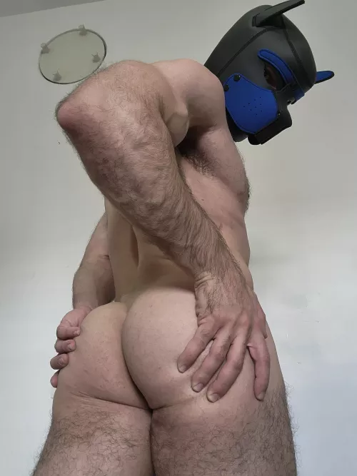 Take a slice of my cake?