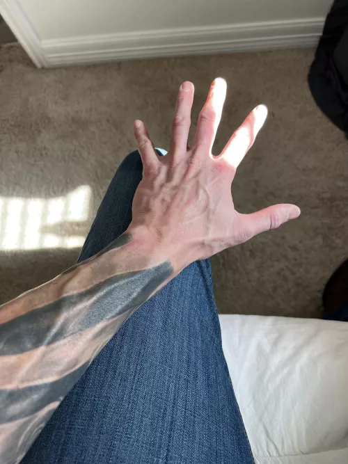 That golden hour vein show