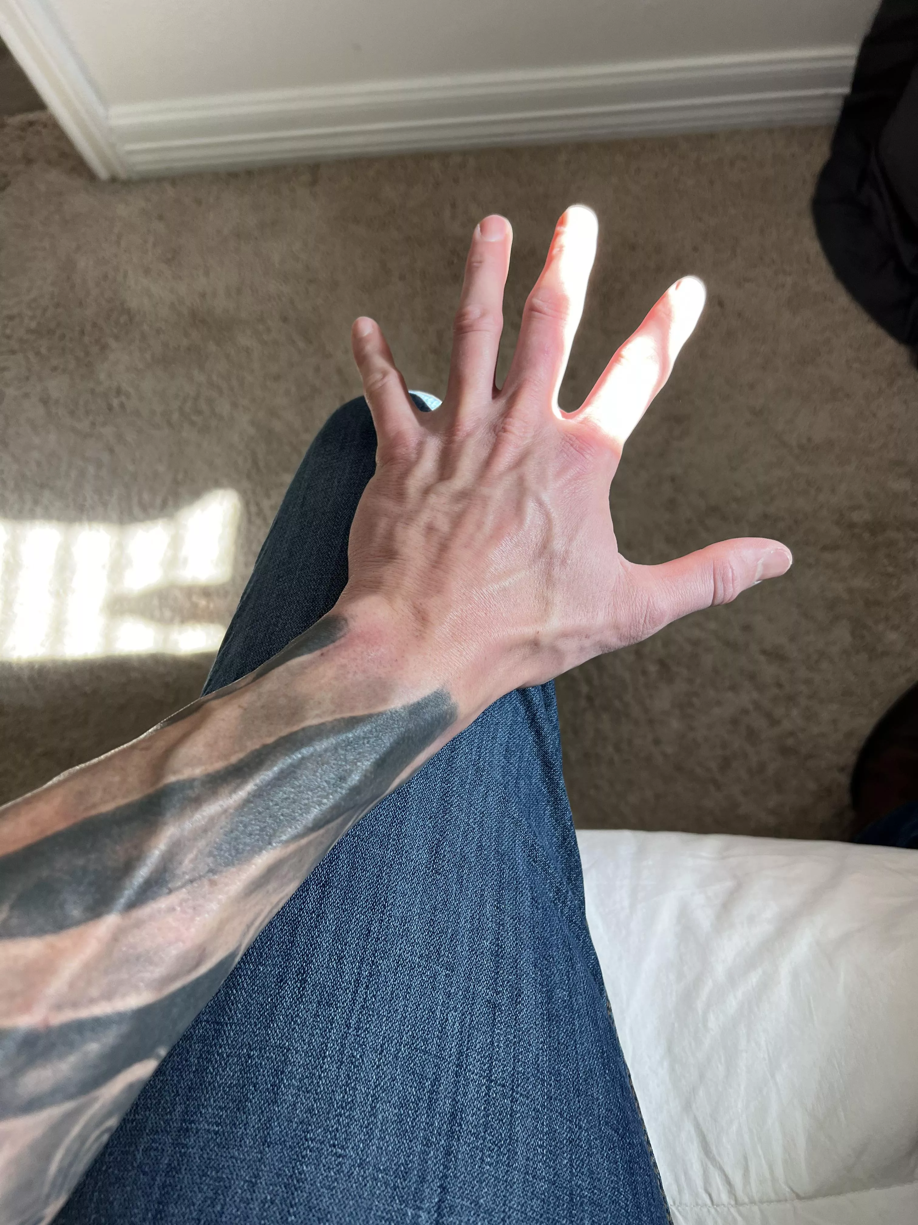 That golden hour vein show