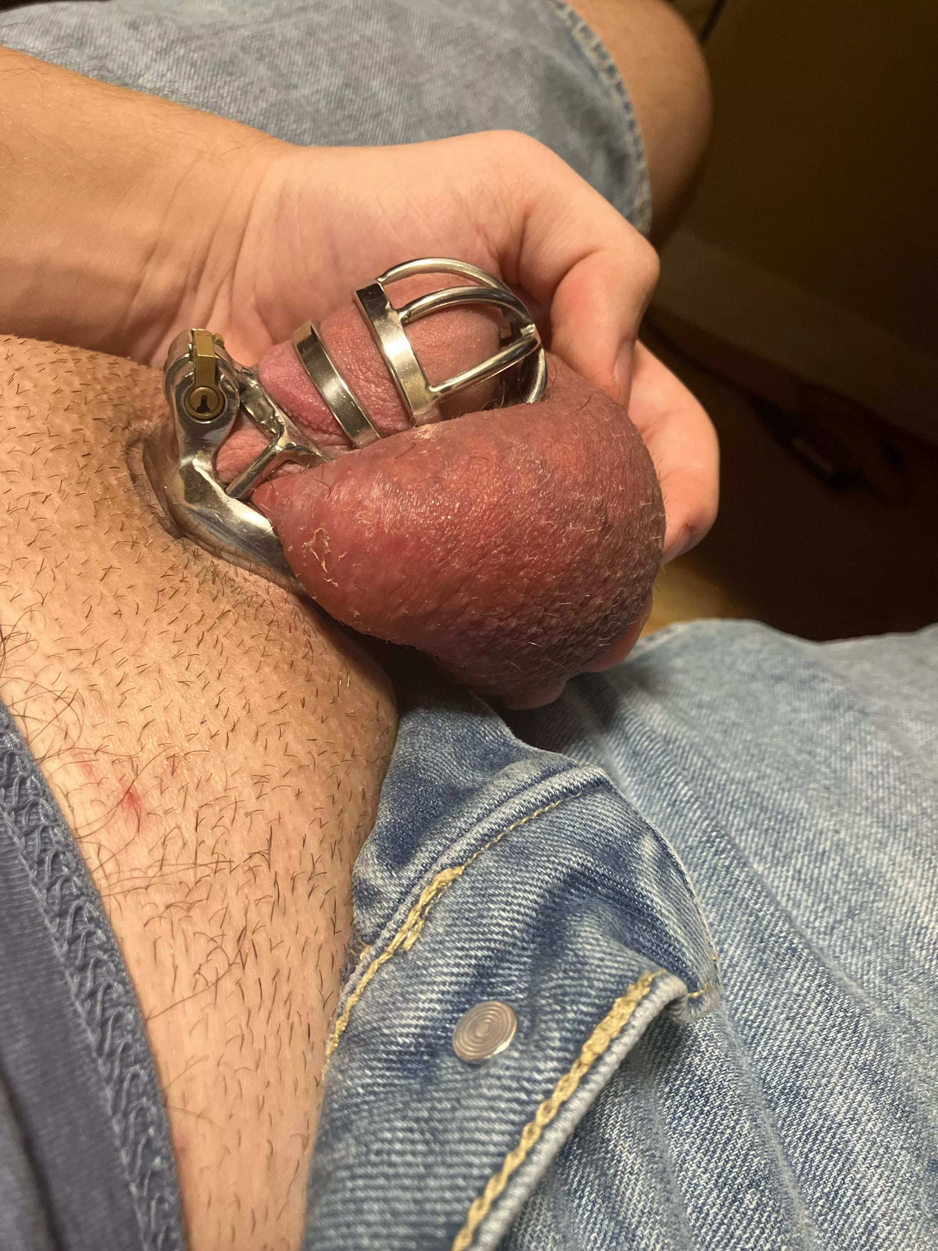 Tomorrow I'm in a bit of an unfortunate situation. So, I've got a new cage and a larger base ring shipping to my door tomorrow, but I'm going to be out of the house from 6am until roughly 10pm for uni classes and heading to my GF's house after. Reall