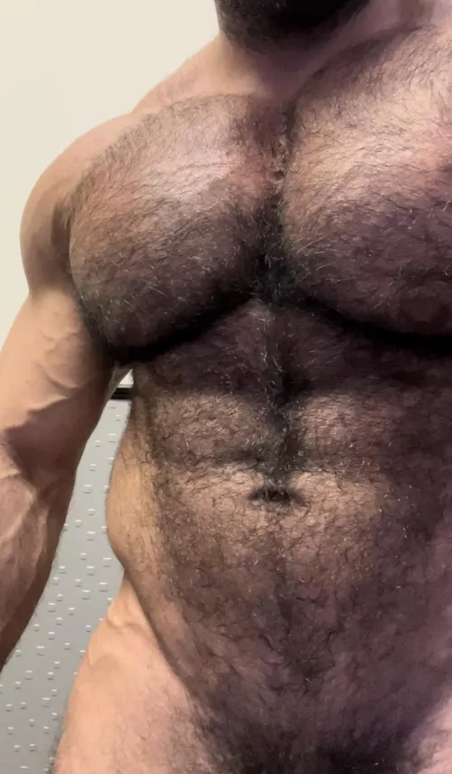 Up close hairy pecs