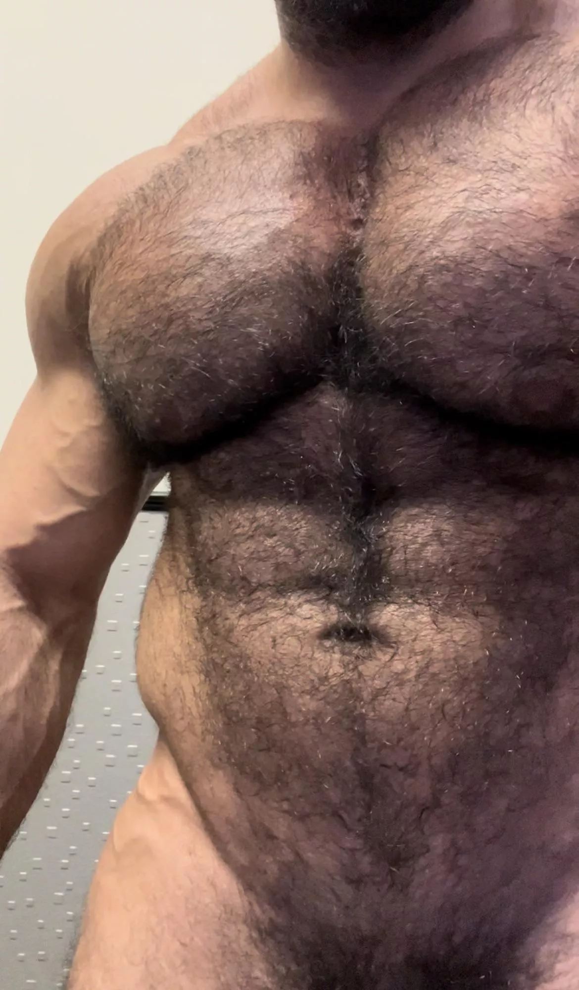Up close hairy pecs