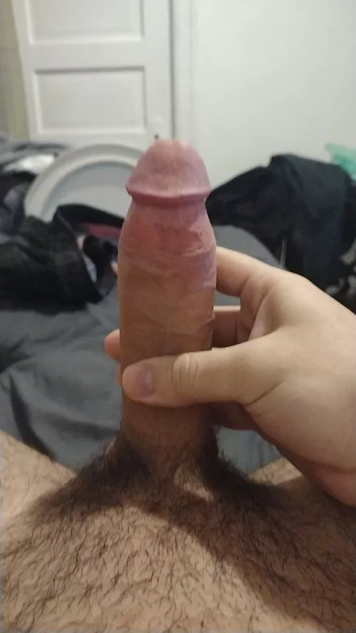 who wanna play some destiny or overwatch?