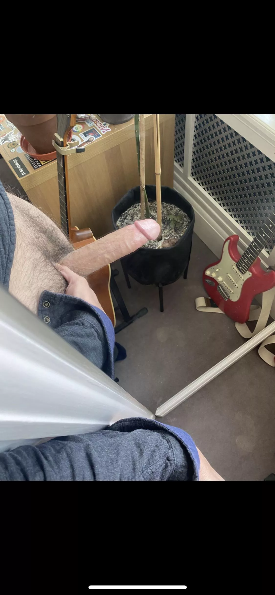 would you suck the head?