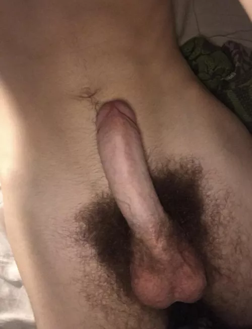 18 year old bush