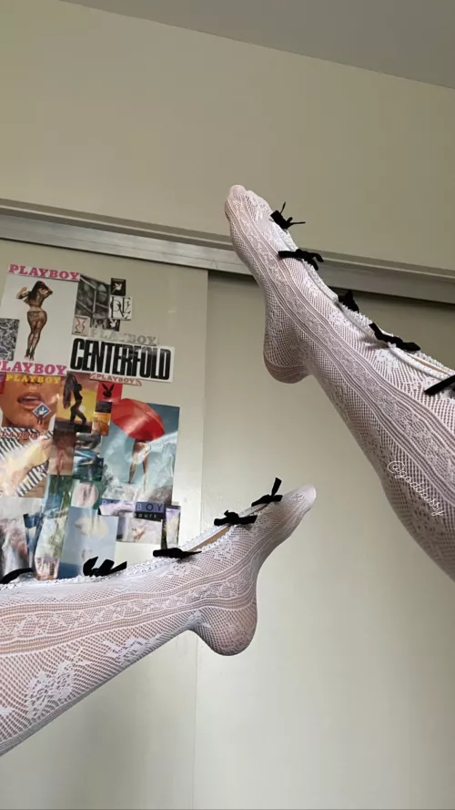 arched to perfection