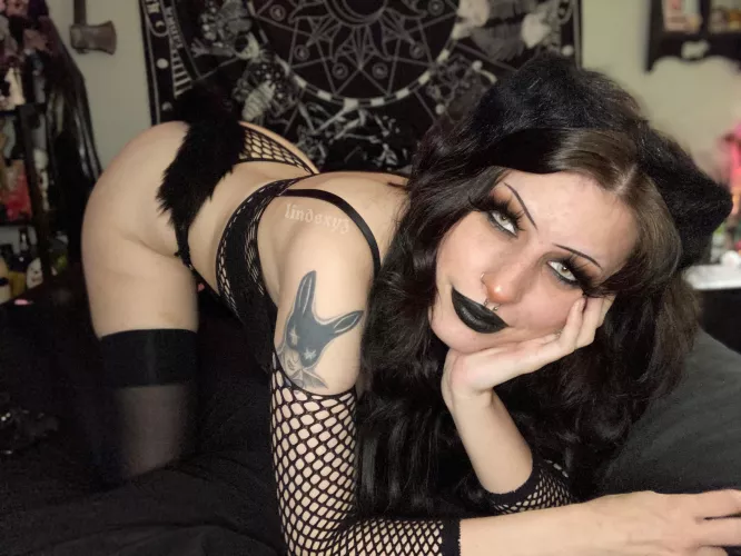 come tug on my tail d;