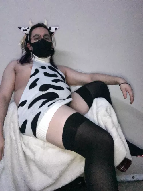 Cows are just dogs but we’re bigger and you can be rougher