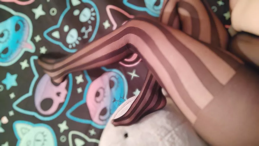 Do you want to break them and fuck me?