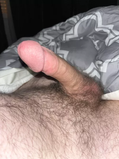 Early Morning wood