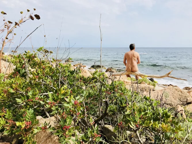 Enjoying the [m]agnificent view…