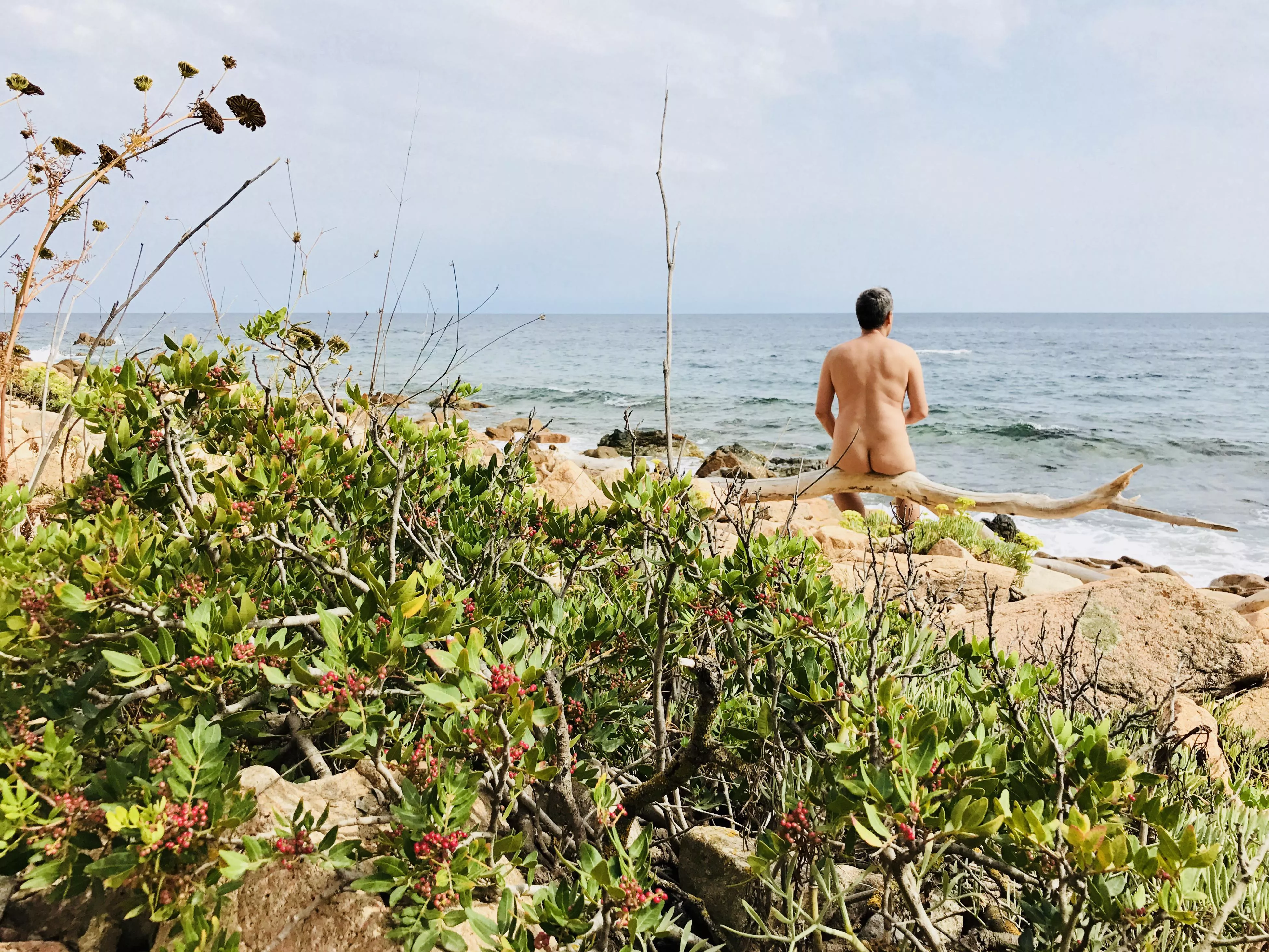 Enjoying the [m]agnificent view…